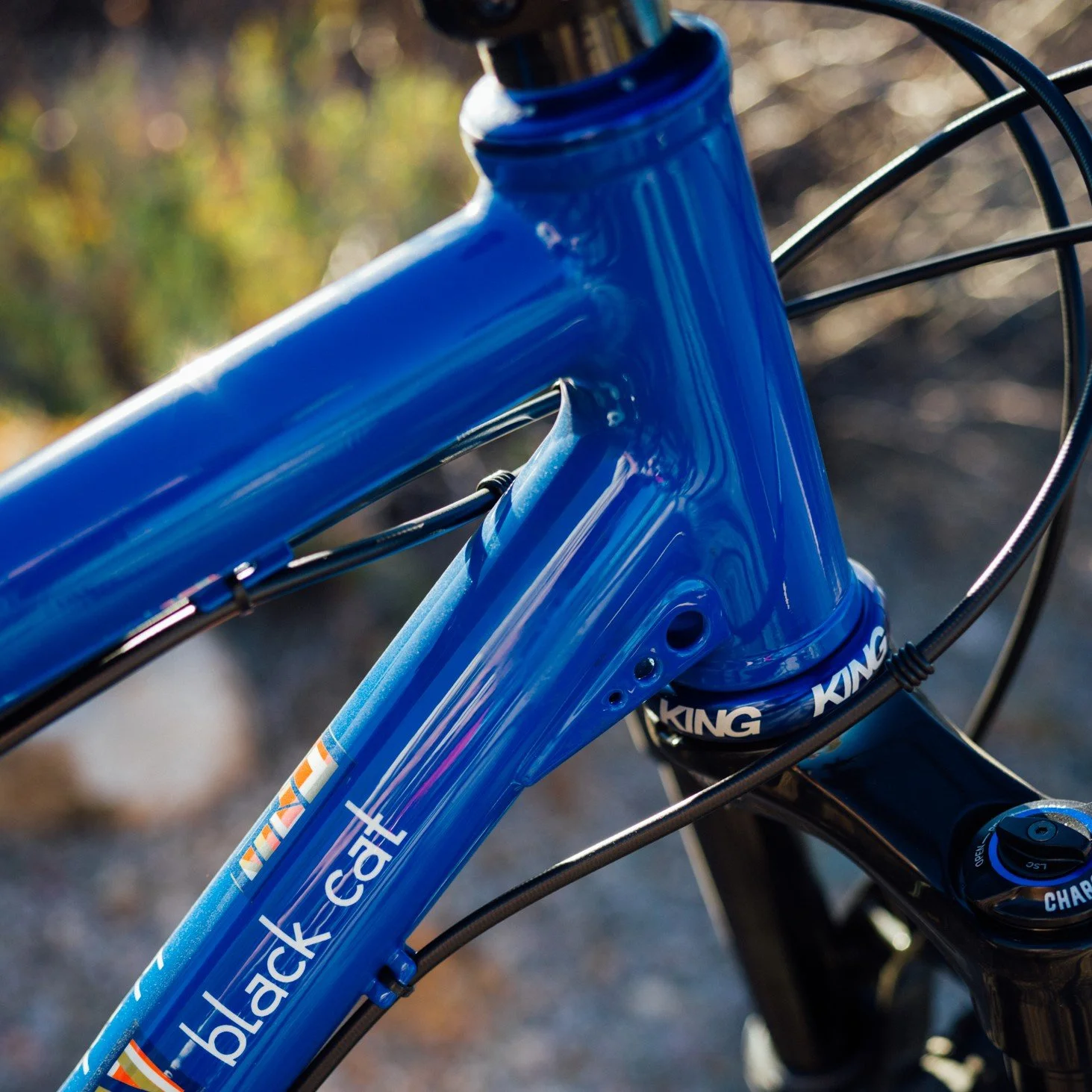 Black cat online mountain bike